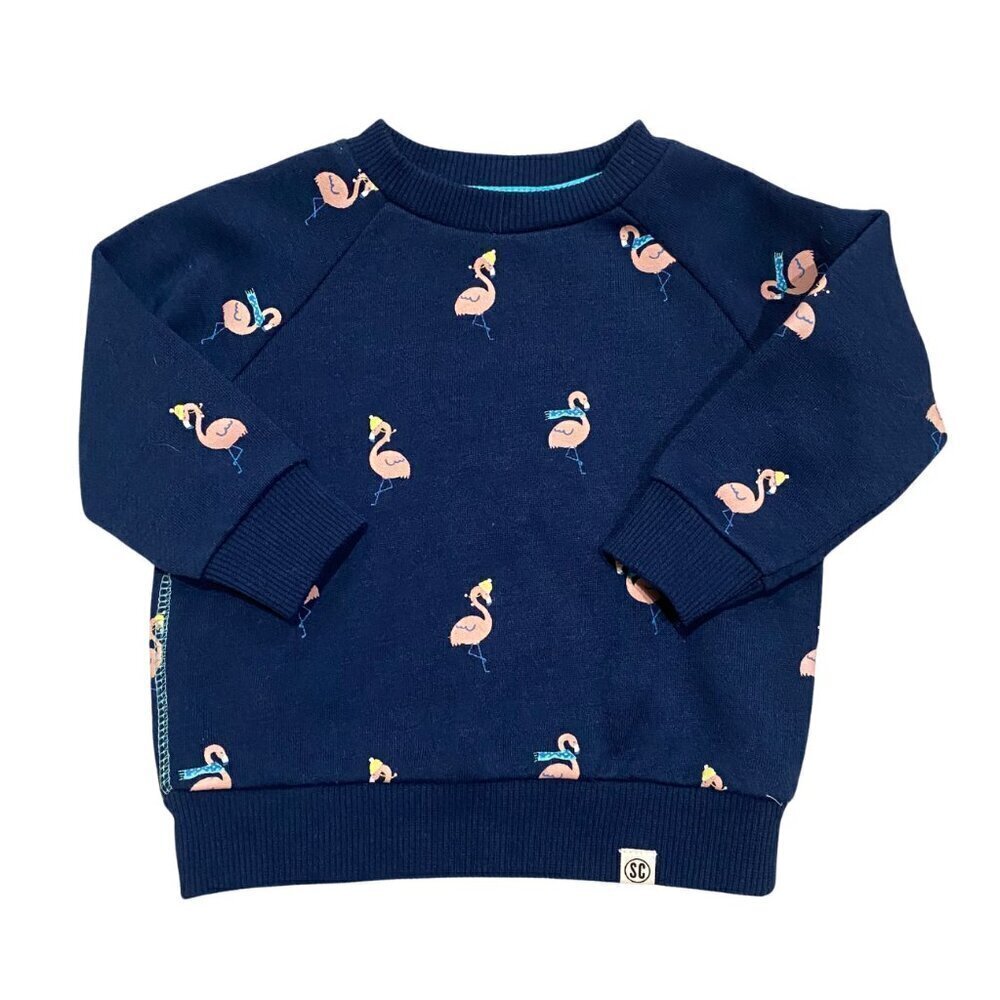 Sovereign Code Boy's Flamingo Sweatshirt - Size 6 months - Like New!